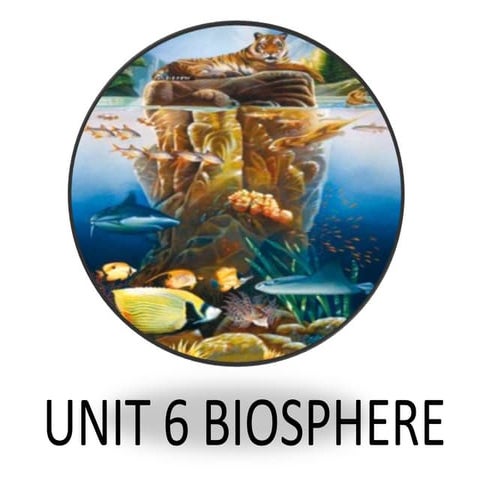 Unit 6 biosphere