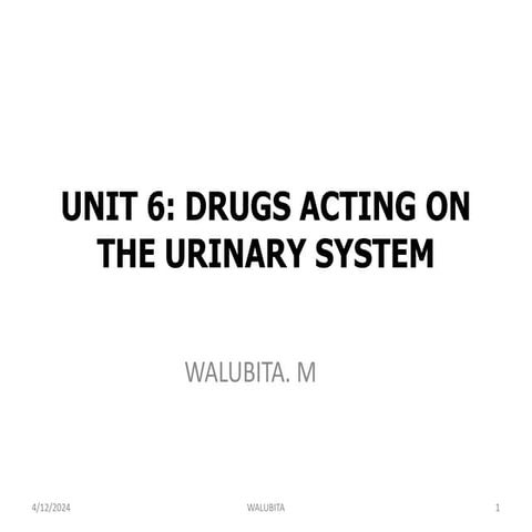 UNIT 6 DRUGS ACTING ON THE URINARY   SYSTEM.pptx