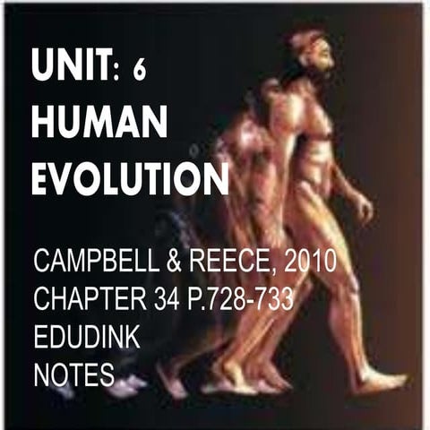 human evolution biology 