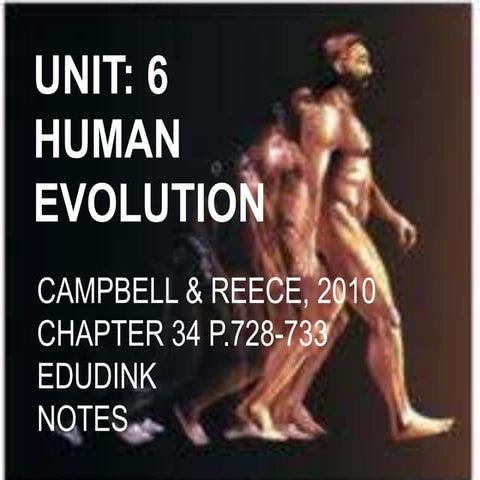 Unit 6 human evolution a