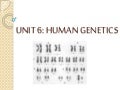Chapter 12 human genetics