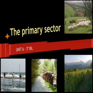 Unit 6 The primary sector