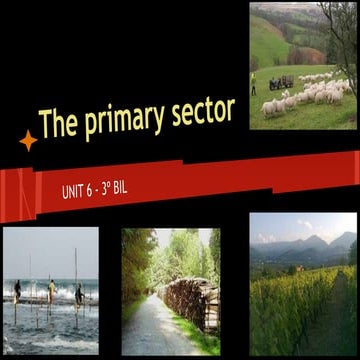 Unit 6 The primary sector