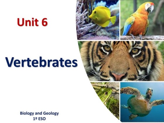 TLE 8 Chapter 2 Lesson 1 | PPTX