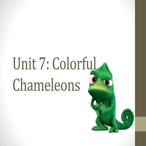 Unit 7: Colorful chameleons | PPT