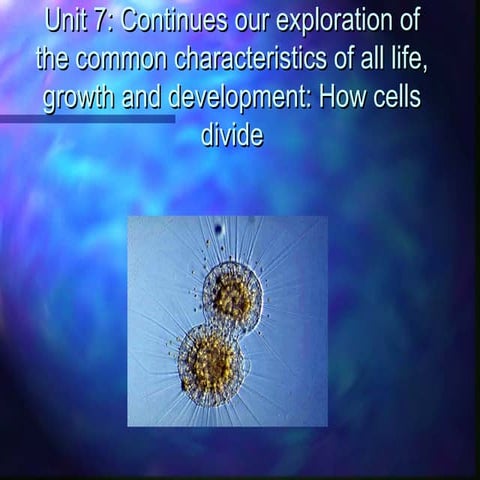 Unit 7 mitosis powerpoint (revised2013)