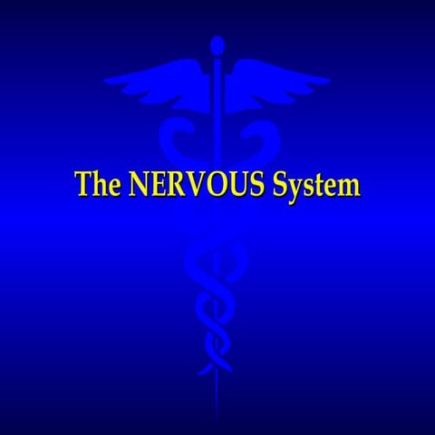 Unit 7 nervous &amp; special senses