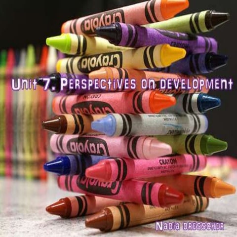 Unit 7 perspectives on development 
