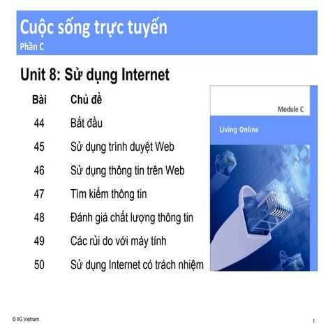 Unit 8 using the internet vn