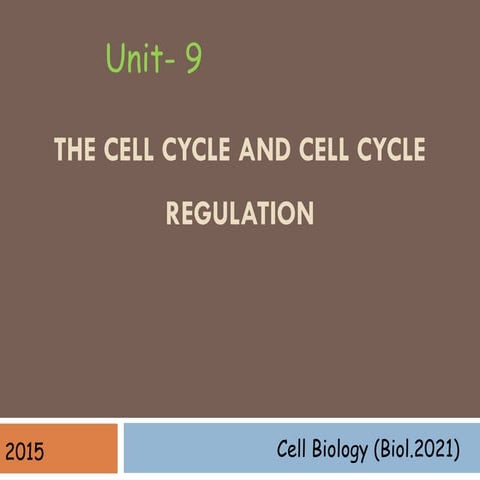 Unit 9. The cell cycle and cell cycle regulation.ppt