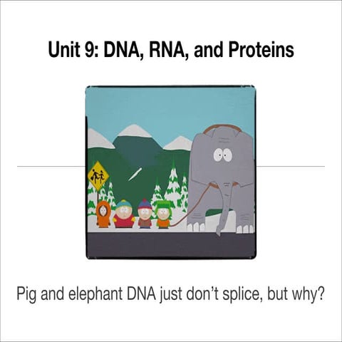 Unit 9  - DNA, RNA, and Proteins Notes