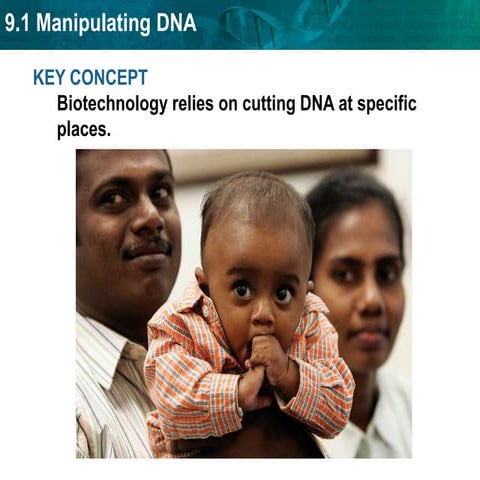 Unit 9 Manipulating Dna