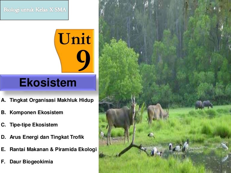 Unit 9 Ekosistem X