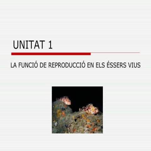 Unitat 1