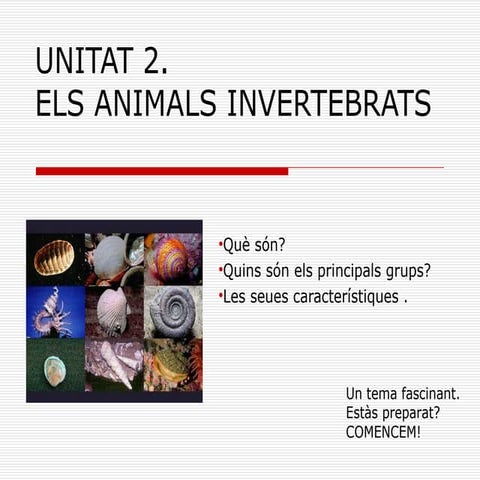 Unitat 2