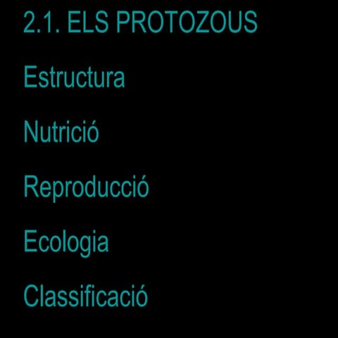 Unitat nº2. els protozous