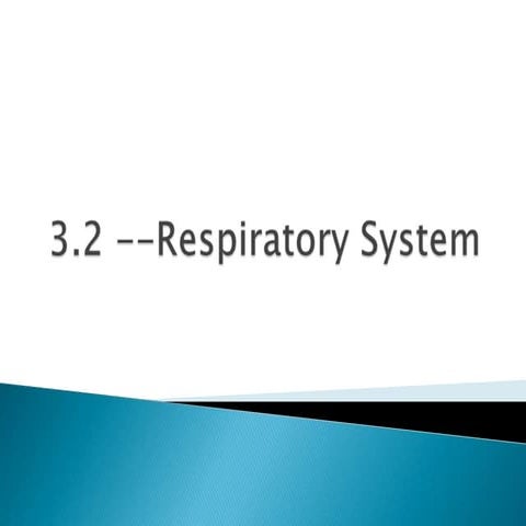 Unit b section  - 3.2 respiratory system