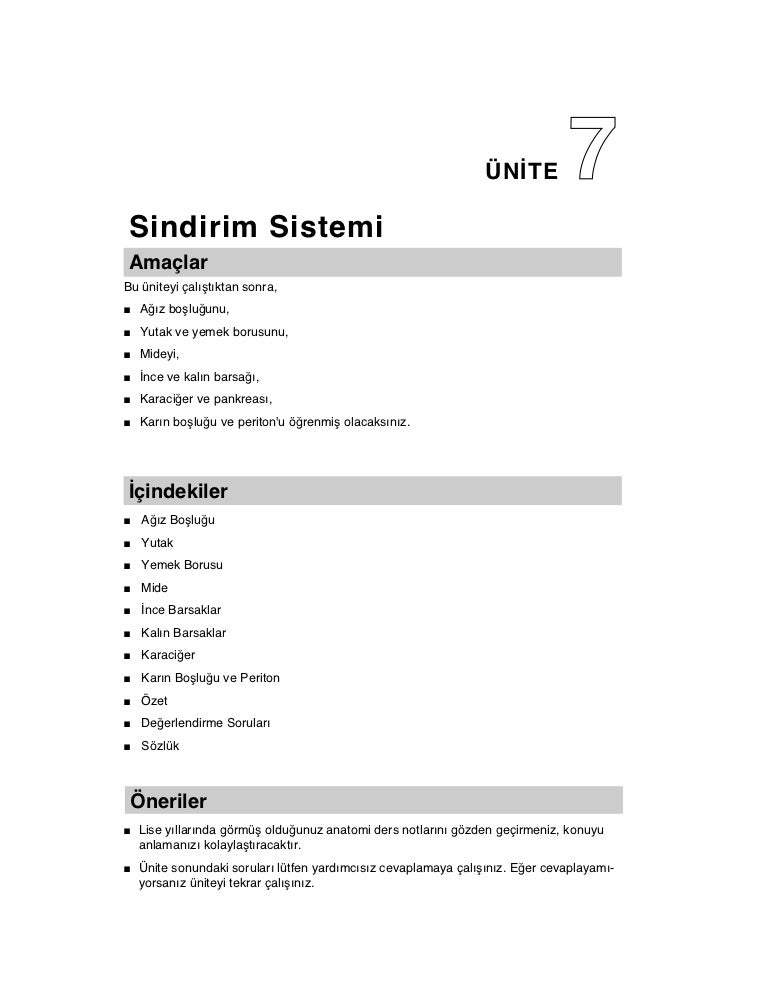 Anatomi Sindirim Sistemi