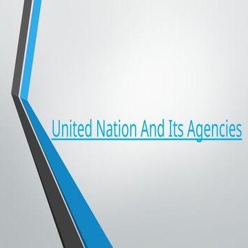 United Nation And Its Agencies Project Work | PPTX