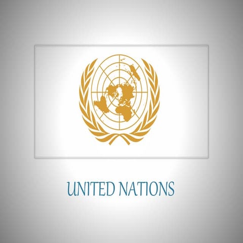 Introduction to the United Nations