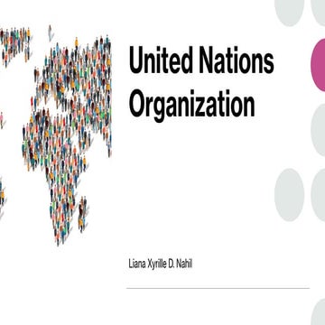 United Nations topic (Contemporary World)