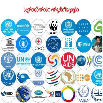 United nations organization | PPT
