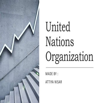 United Nations Organization 