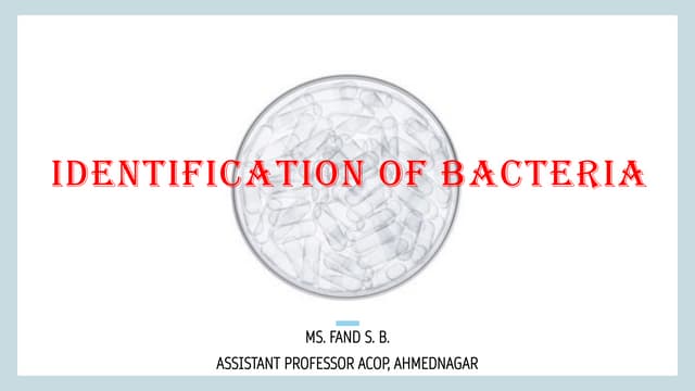 Identification of Bacteria