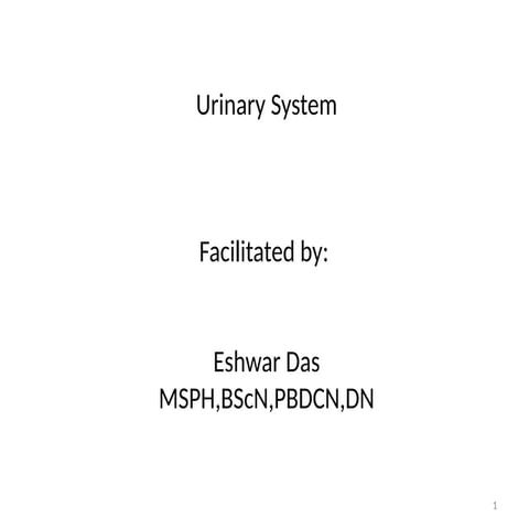 Urinary system of goat 1 | PPTX