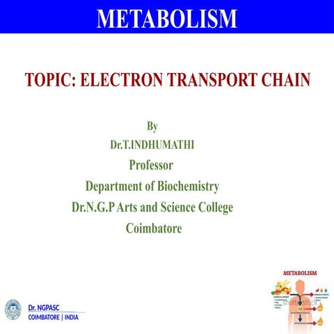 Metabolism-Electron Transport Chain and Oxidative Phosphorylation.pptx