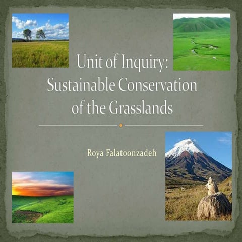 Unit of inquiry Grasslands
