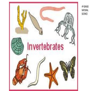 Invertebrate animals 4º