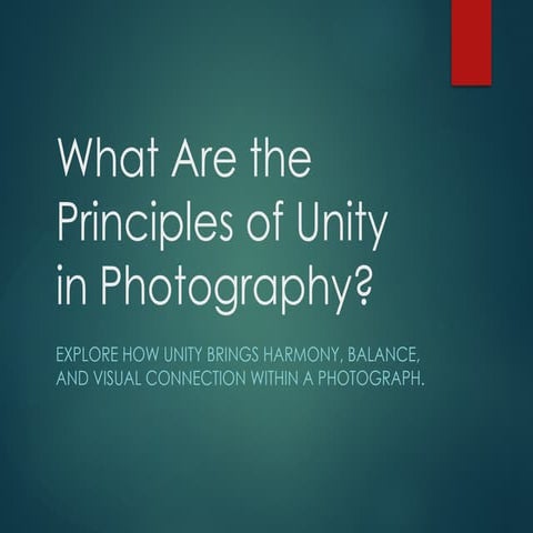 Mastering Unity in Photography: Techniques for Visual Harmony