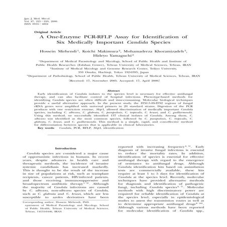 Univ candida PCR Primer