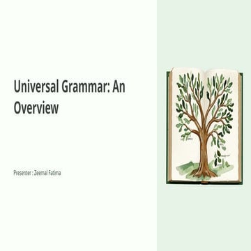 Comprehensive Overview of Universal Grammar: Principles, Development ...