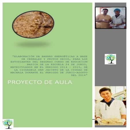 PROYECTO DE AULA DE BIOLOGÍA "BARRAS ENERGÉTICAS"