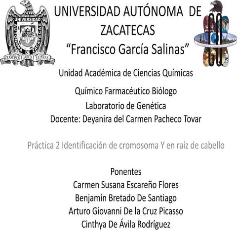 Identificación de cromosoma Y en raíz de cabello