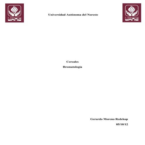 Universidad autonoma del noreste gerardo