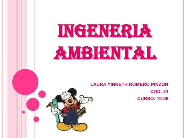 Universidad de ingeneria ambiental