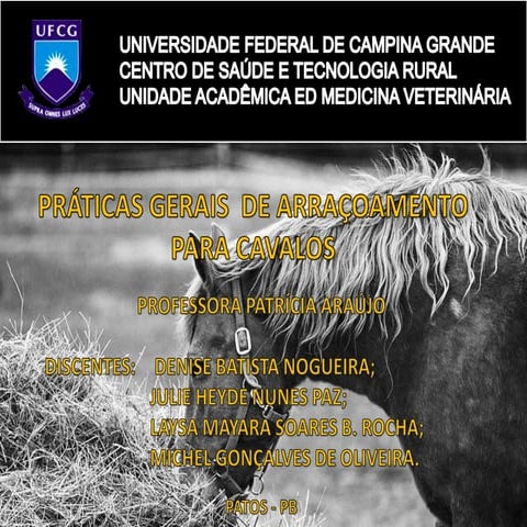 Práticas gerais de arraçoamento para cavalos