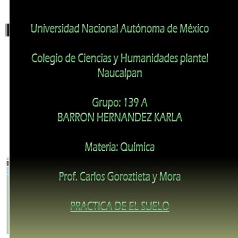Práctica Suelo I