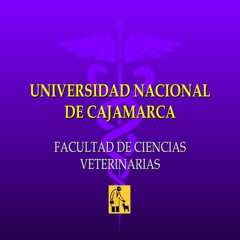 Universidad Nacional De Cajamarca2