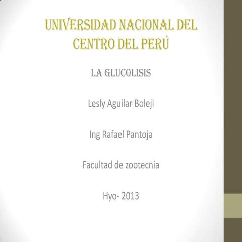 Universidad nacional del centro del perú