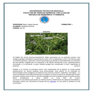 Universidad tècnica de machala