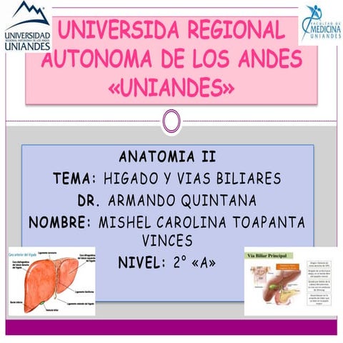 higado y vias biliares