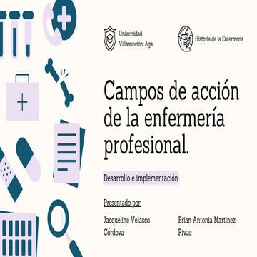 CAMPOS DE ACCIÓN DE LA ENFERMERÍA PROFESIONAL | PPT