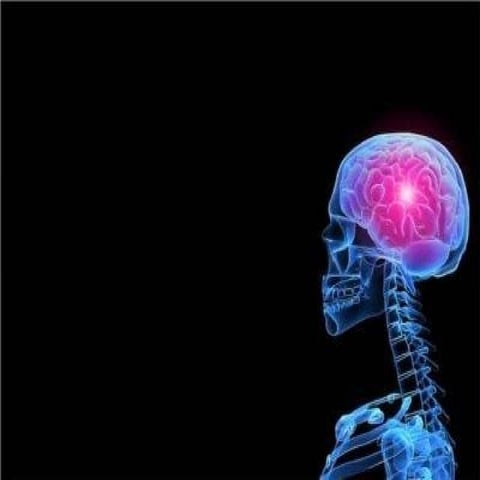 Linguistica por Julio Cesar Coloma