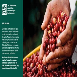 IASC Promotional Flyer