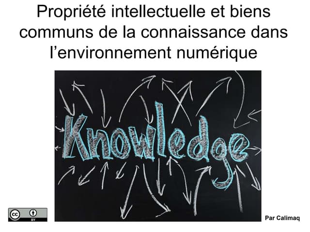 Propriété intellectuelle et biens communs de la connaissance dans l'environne...