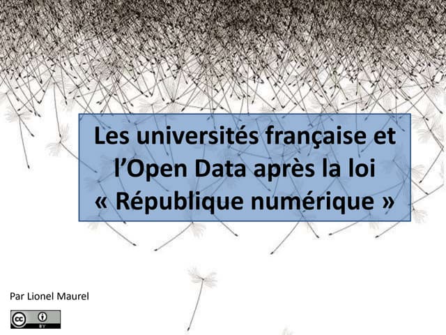 Les universités françaises et l'Open Data après la loi "République numérique"